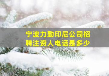 宁波力勤印尼公司招聘注资人电话是多少