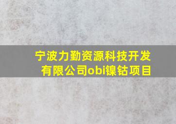 宁波力勤资源科技开发有限公司obi镍钴项目