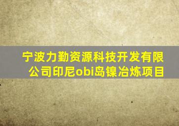 宁波力勤资源科技开发有限公司印尼obi岛镍冶炼项目