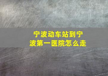 宁波动车站到宁波第一医院怎么走