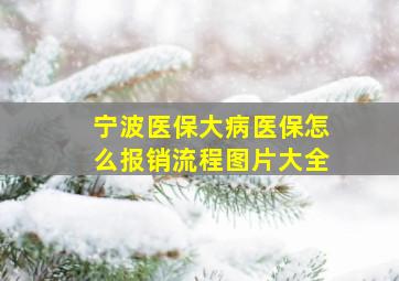 宁波医保大病医保怎么报销流程图片大全