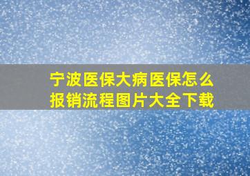 宁波医保大病医保怎么报销流程图片大全下载