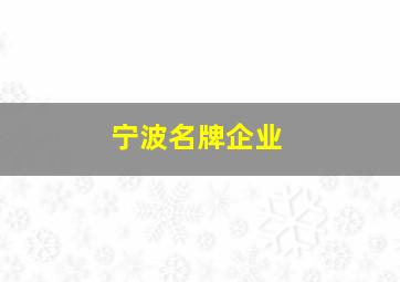 宁波名牌企业