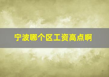 宁波哪个区工资高点啊