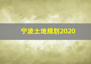 宁波土地规划2020