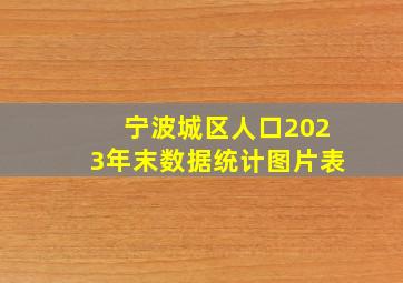 宁波城区人口2023年末数据统计图片表