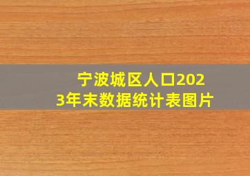 宁波城区人口2023年末数据统计表图片