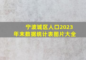 宁波城区人口2023年末数据统计表图片大全