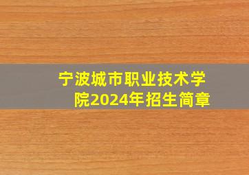 宁波城市职业技术学院2024年招生简章