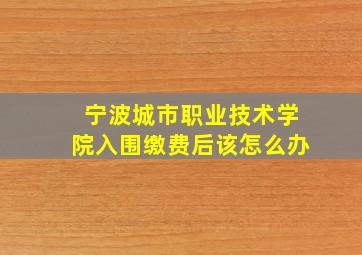 宁波城市职业技术学院入围缴费后该怎么办