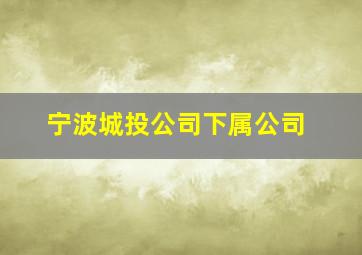 宁波城投公司下属公司