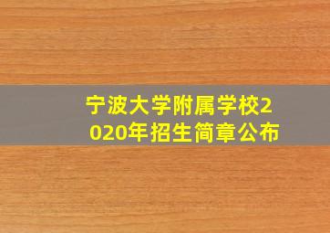 宁波大学附属学校2020年招生简章公布