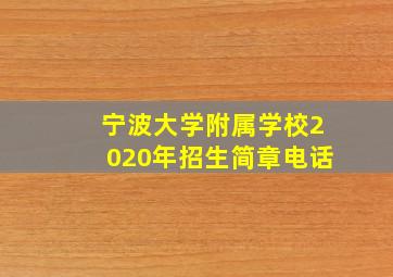 宁波大学附属学校2020年招生简章电话