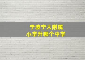 宁波宁大附属小学升哪个中学