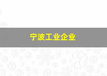 宁波工业企业