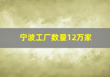 宁波工厂数量12万家