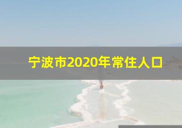 宁波市2020年常住人口