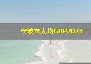 宁波市人均GDP2023