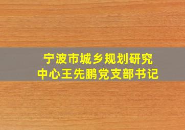 宁波市城乡规划研究中心王先鹏党支部书记