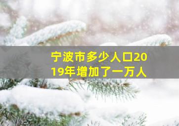 宁波市多少人口2019年增加了一万人