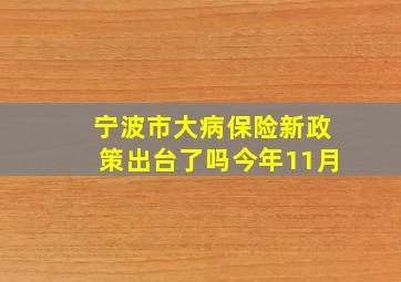 宁波市大病保险新政策出台了吗今年11月