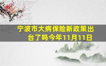 宁波市大病保险新政策出台了吗今年11月11日