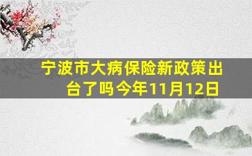 宁波市大病保险新政策出台了吗今年11月12日