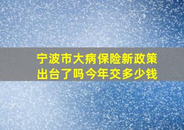 宁波市大病保险新政策出台了吗今年交多少钱