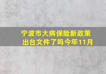 宁波市大病保险新政策出台文件了吗今年11月