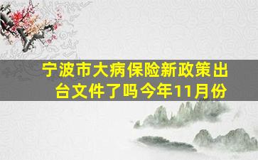 宁波市大病保险新政策出台文件了吗今年11月份