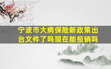 宁波市大病保险新政策出台文件了吗现在能报销吗