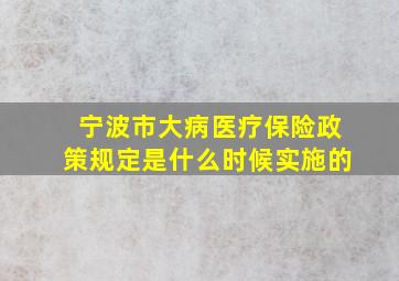 宁波市大病医疗保险政策规定是什么时候实施的