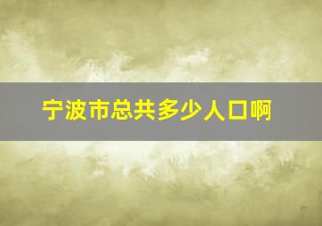 宁波市总共多少人口啊