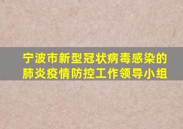 宁波市新型冠状病毒感染的肺炎疫情防控工作领导小组