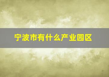 宁波市有什么产业园区