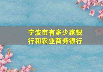 宁波市有多少家银行和农业商务银行