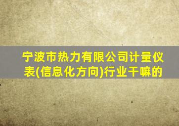 宁波市热力有限公司计量仪表(信息化方向)行业干嘛的