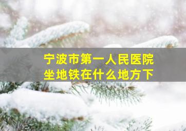 宁波市第一人民医院坐地铁在什么地方下