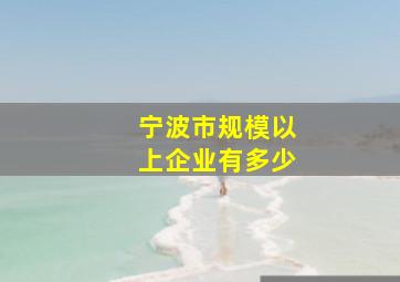 宁波市规模以上企业有多少