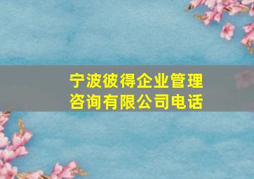 宁波彼得企业管理咨询有限公司电话