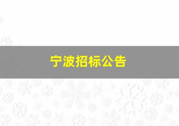 宁波招标公告