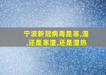 宁波新冠病毒是寒,湿,还是寒湿,还是湿热