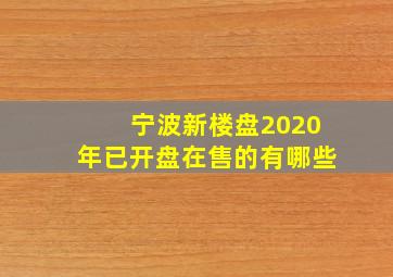 宁波新楼盘2020年已开盘在售的有哪些