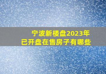 宁波新楼盘2023年已开盘在售房子有哪些