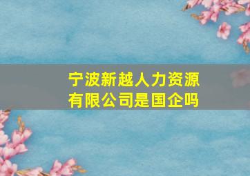 宁波新越人力资源有限公司是国企吗