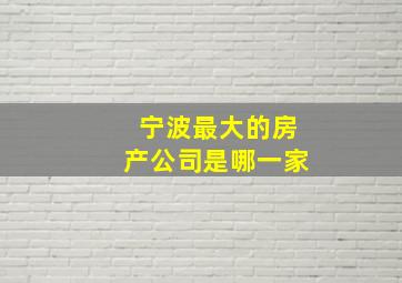 宁波最大的房产公司是哪一家