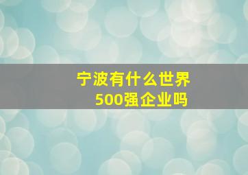 宁波有什么世界500强企业吗