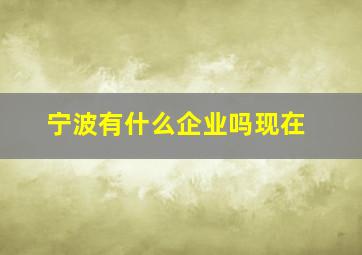 宁波有什么企业吗现在