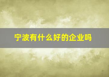 宁波有什么好的企业吗