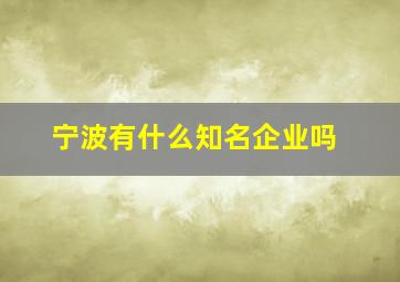 宁波有什么知名企业吗